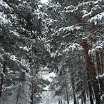 Maria Josefa Semesterbostad *